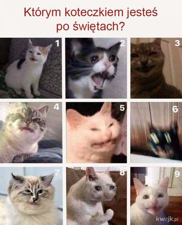 Memy Wielkanoc 2020