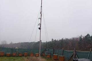  Jacek znalazł sposób na galopujące ceny prądu. Długo swoim rozwiązaniem się nie cieszył, a policja nie biła mu braw