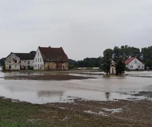 Nim przyszła fala powodziowa, sąsiedzi pomogli pani Gizeli 