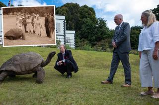 Żółw gigant ma 192 lata i przyjął wizytę księcia! 76 lat temu odwiedziła go królowa