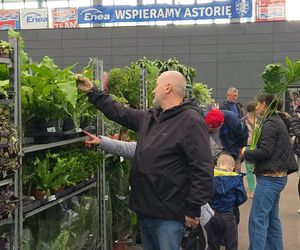 Festiwal Roślin znów zachwycił bydgoszczan! Setki gatunków i wyjątkowa atmosfera