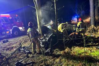 Śmiertelny wypadek pod Pleszewem. Dwóch nastolatków nie żyje. Kierujący volkswagenem nie miał uprawnień
