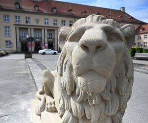 Koszalińskie lwy odzyskały dawny blask