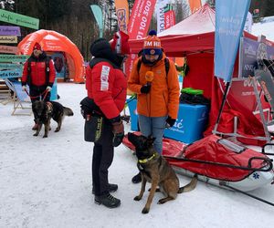 Bijemy Rekord Małopolskiej Gościnności na Jaworzynie Krynickiej