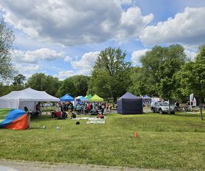 Festiwal Przyjaciół Zwierząt w Olsztynie. Park Centralny opanowały radosne pieski
