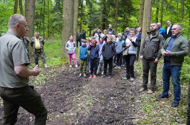 Nowa atrakcja w Małopolsce. Audioprzewodnik leśny turystycznym hitem!