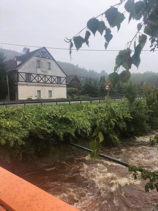 Przez to miasto przeszła powódź. Już zapraszają turystów. "Sami nie damy sobie rady"