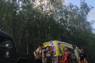 Znaleźli w lesie małe dziecko. Nikt jeszcze nie wiedział, że zaginęło  