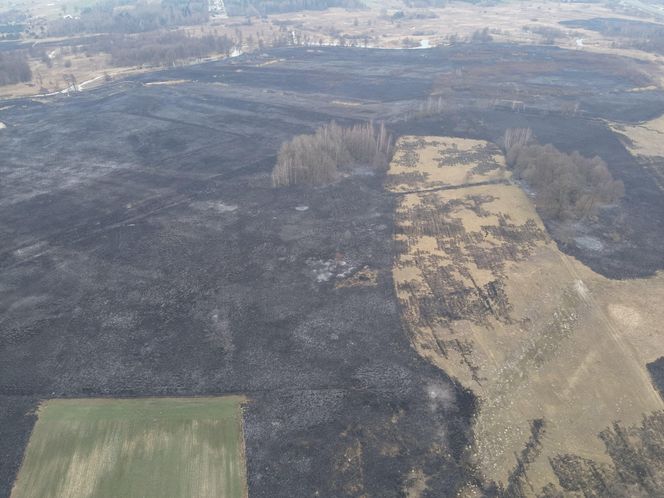 Mazowsze płonie. Ponad 300 pożarów w dwa dni. Strażacy biją na alarm!