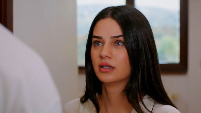 Miłość i nadzieja, odcinek 277. Bahar, Kuzey