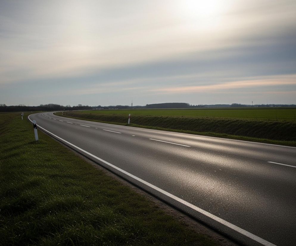 Asfaltowa droga wijąca się łagodnie w prawo dominujew centrum obrazu. Po obu stronach drogi rozciągają się zielone, trawiaste pobocza, a za nimi po prawej stronie widać rozległe, zielone pola uprawne, rozświetlone słońcem w oddali. Horyzont przecina ciemny pas drzew, a na niebie widoczne są warstwowe chmury, jaśniejsze po prawej stronie, gdzie słońce przebija się przez obłoki, tworząc na drodze lśniące refleksy.