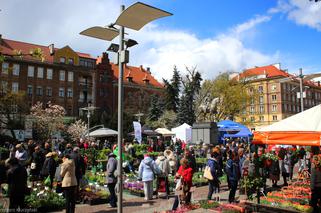 Szczecin po raz drugi w tym roku zmieni się w ogród! Zielony event już w najbliższy weekend