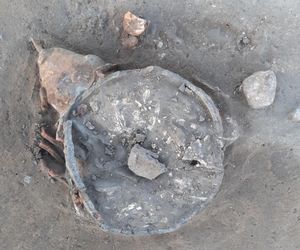 Na polu pod Inowrocławiem archeolodzy odkryli cmentarzysko sprzed 2 tysięcy lat! Wojowników pochowano z tarczami i oszczepami