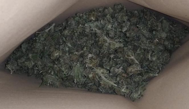 Amfetamina i marihuana w posiadaniu 36-latka