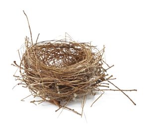 Syndrom pustego gniazda – czym jest? Jak sobie z nim radzić?