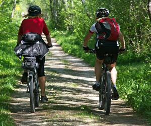 Zwiedzaj powiat kielecki na rowerze! Można korzystać z odnowionej trasy w Górach Świętokrzyskich