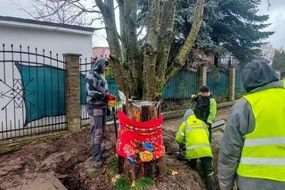 Kasztanowiec trafił na środek ronda