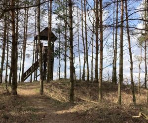 Tam jest najpiękniejsza wieża widokowa w Podlaskiem według AI. Tylko tu zobaczysz region w pełnej krasie