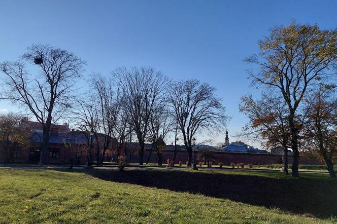 zamość