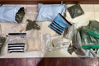 Policyjny nalot na mieszkanie w Toruniu. Zatrzymali 24-latka, znaleźli narkotyki