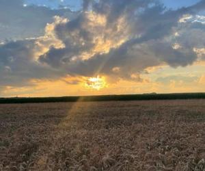 Zdjęcia Poznania od naszych Czytelników. Sprawdź te niesamowite ujęcia!