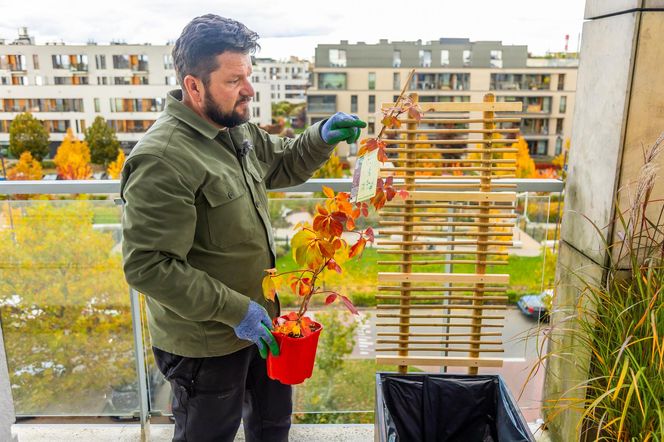 Jesienna metamorfoza balkonu