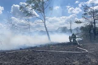 Dramatyczny pożar lasu na Śląsku. Łuna ognia i gryzący dym. Zobacz zdjęcia