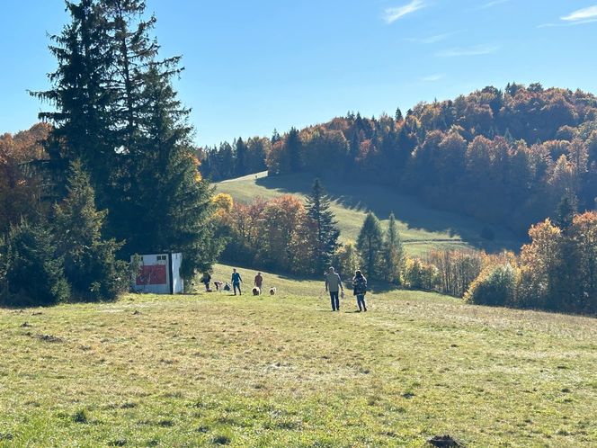 Małopolskie pasmo górskie zachwyca jesiennym pięknem. Ukryta perełka z widokiem na tatry 