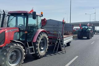 Ogólnopolski Strajk Generalny Rolników w Wielkopolsce. Blokada S11 w Dąbrówce