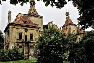 Zapomniany pałac w Mańczycach. Rezydencja z niezwykłym klimatem wciąż stoi pusta 
