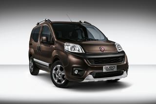 2016 Fiat Qubo Trekking