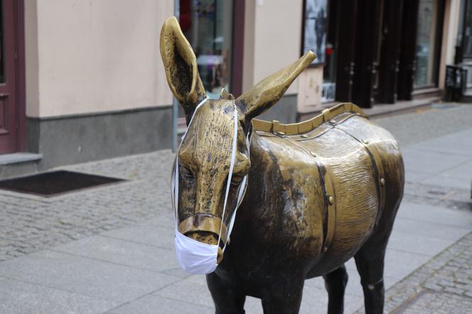 Kolejna partia maseczek wylądowała w skrzynkach torunian. Jest też coś dla osiołka...