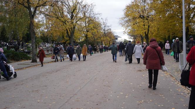 Tłumy na cmentarzu przy ul. Poprzecznej. Olsztynianie odwiedzają groby bliskich [ZDJĘCIA]