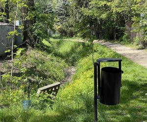 Najdłuższy park w Polsce jest w Krakowie. Ledwo widać go na mapach, a jest pełen atrakcji