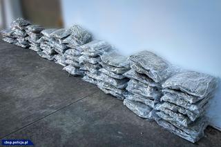 Gang narkotykowy rozbili policjanci CBŚP
