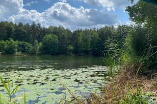 Glinianki w Zielonej Górze popadają w ruinę? 