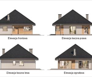 Projekt domu C444g Czterolistna koniczyna wariant VII - wizualizacje, plany, rysunek