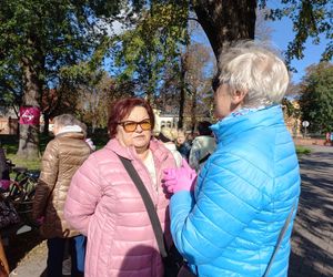 2 tysiące żonkili posadzono na Polu Nadziei w Lesznie. To symbol walki z rakiem