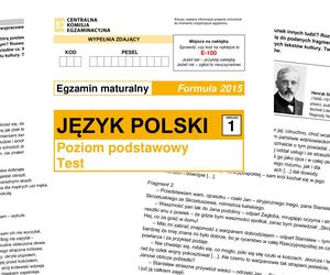 Matura 2025: polski 5.05.2025. Arkusze CKE, odpowiedzi z matury z polskiego znajdziesz tutaj [FORMUŁA 2015]