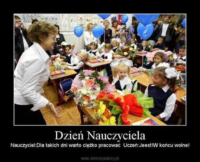 Memy na Dzień Nauczyciela 2024! Zobacz najśmieszniejsze obrazki w internecie! [GALERIA]