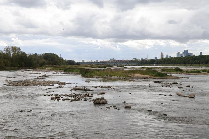 Rekordowo niski stan wody w Wiśle w Warszawie (23.08.2025)