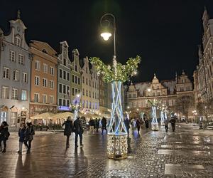 Gdańska choinka rozbłysła. Zobaczcie nasze zdjęcia!