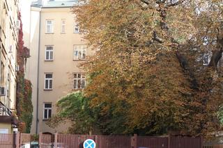 Nowa pora roku już jest w mieście. Lublin przybrał już jesienne barwy. Zobaczcie!