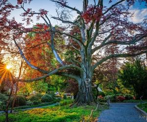 Serce Ogrodu z Arboretum w Wojsławicach z wielkim wyróżnieniem