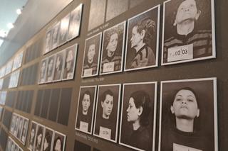 Wystawa ZIMNE SPOJRZENIE w Galerii Miejskiej BWA w Tarnowie