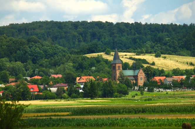 Trześniów 