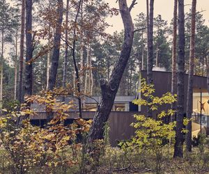 Circle Wood