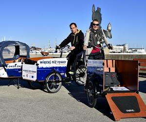 Cargo bike rowery w Gdyni