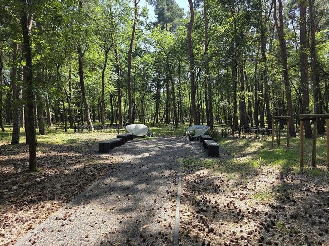 Las pamięci na Junikowie w Poznaniu