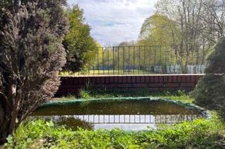 Korty tenisowe w parku Skaryszewskim